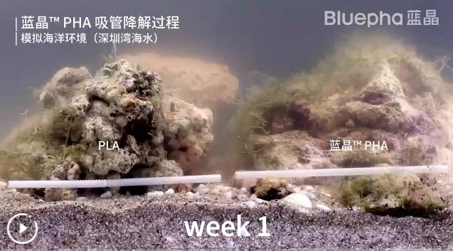 我国合成生物企业破解PHA量产难题，实现三大突破
